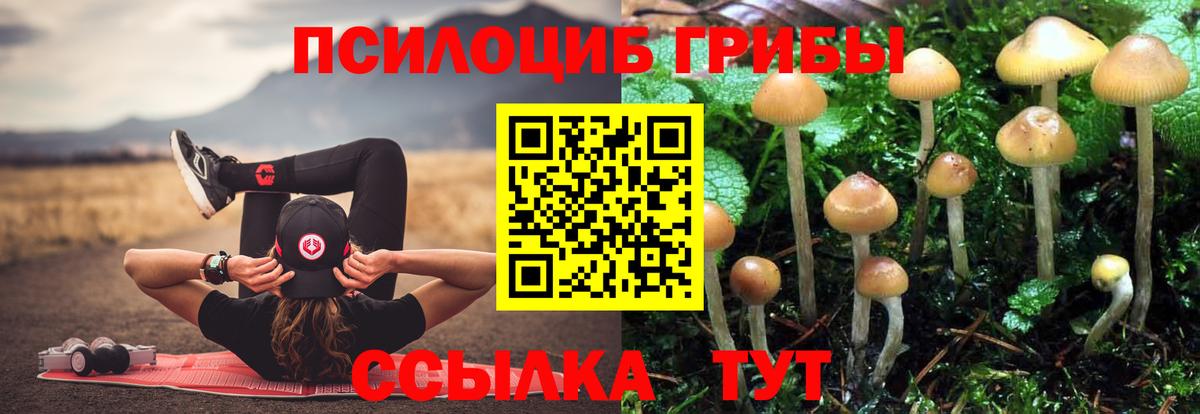 Псилоцибиновые грибы ЛСД Ижевск